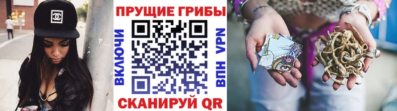 купить закладку  hydra как войти  Галлюциногенные грибы GOLDEN TEACHER  Тбилисская 