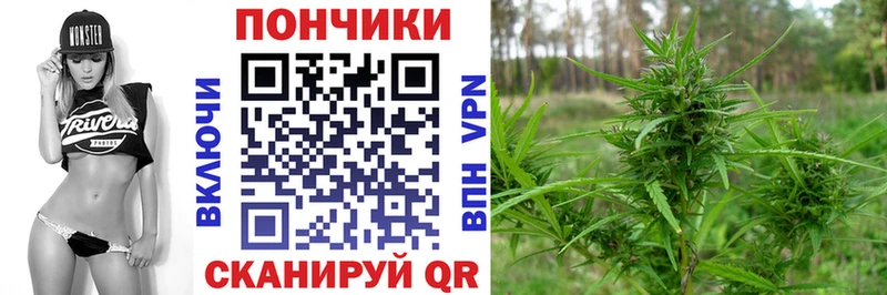 Бошки Шишки ГИДРОПОН  MEGA маркетплейс  Тбилисская 